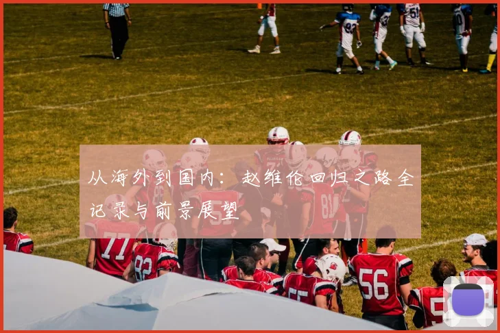 从海外到国内：赵维伦回归之路全记录与前景展望